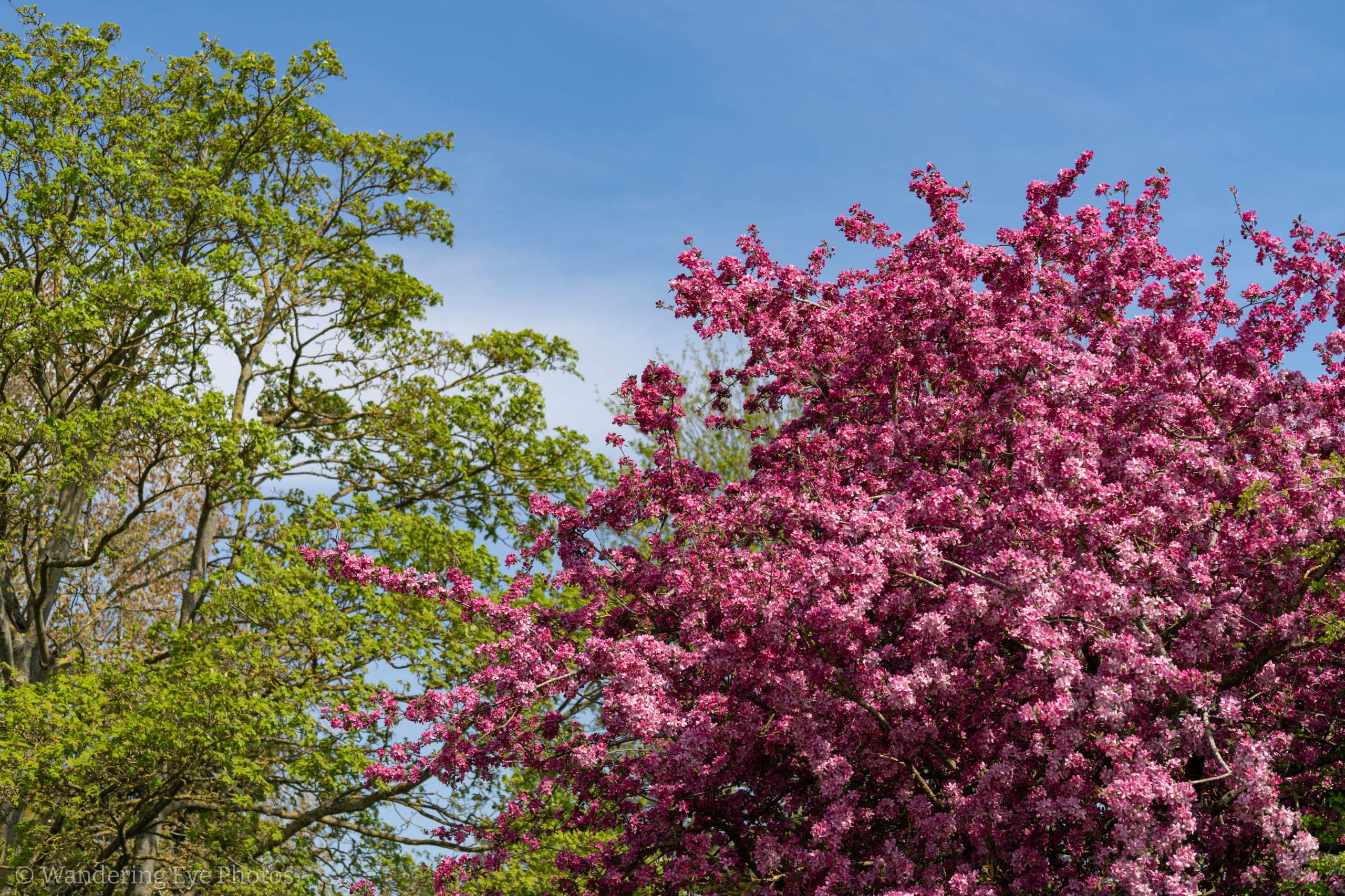 04.18 12.57.54   DSC06180